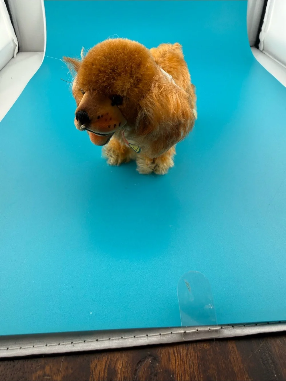 Vintage Steiff Cockie Cocker Spaniel Dog 4” 1950s Chest Tag Germany Mohair